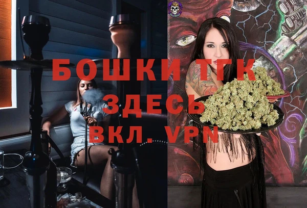 гидра Новозыбков