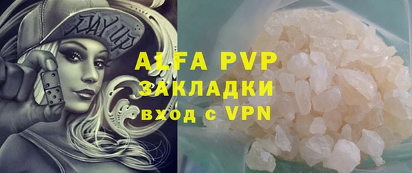 шишки Новодвинск