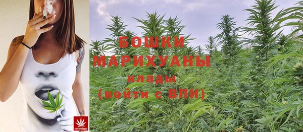 прущие крисы Новокубанск