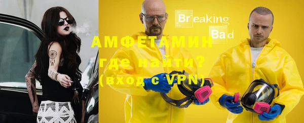 шишки Новодвинск