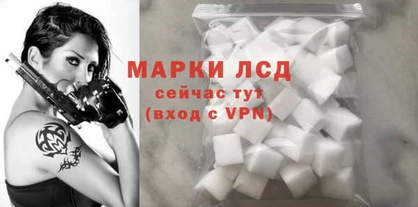 шишки Новодвинск