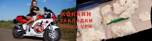 шишки Новодвинск
