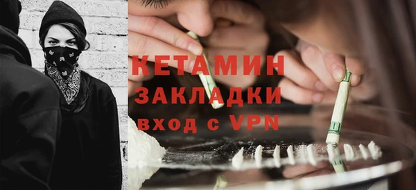 шишки Новодвинск