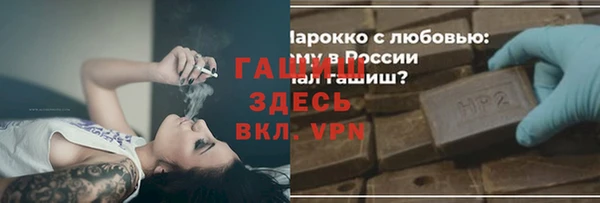 шишки Новодвинск