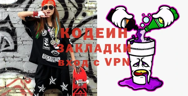 шишки Новодвинск