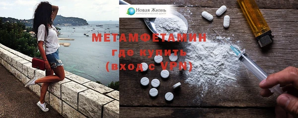 шишки Новодвинск