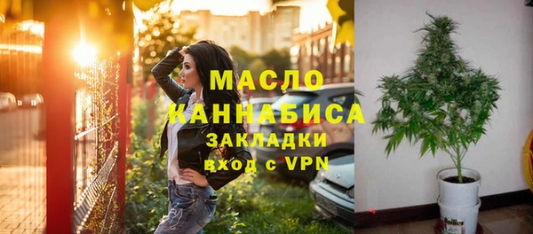 шишки Новодвинск