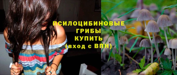 гидра Новозыбков