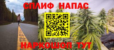 крисы Абакан