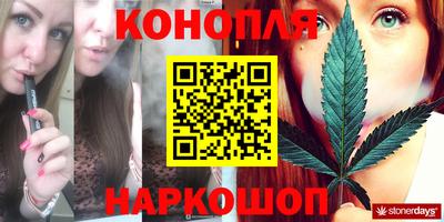 крисы Абакан