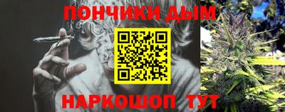 крисы Абакан