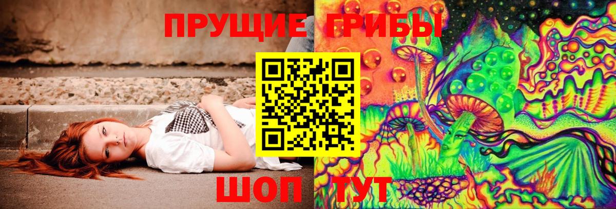 наркошоп  Химки  Псилоцибиновые грибы Magic Shrooms 