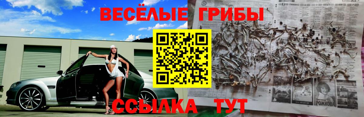 Химки  Галлюциногенные грибы Magic Shrooms  Вход с VPN 